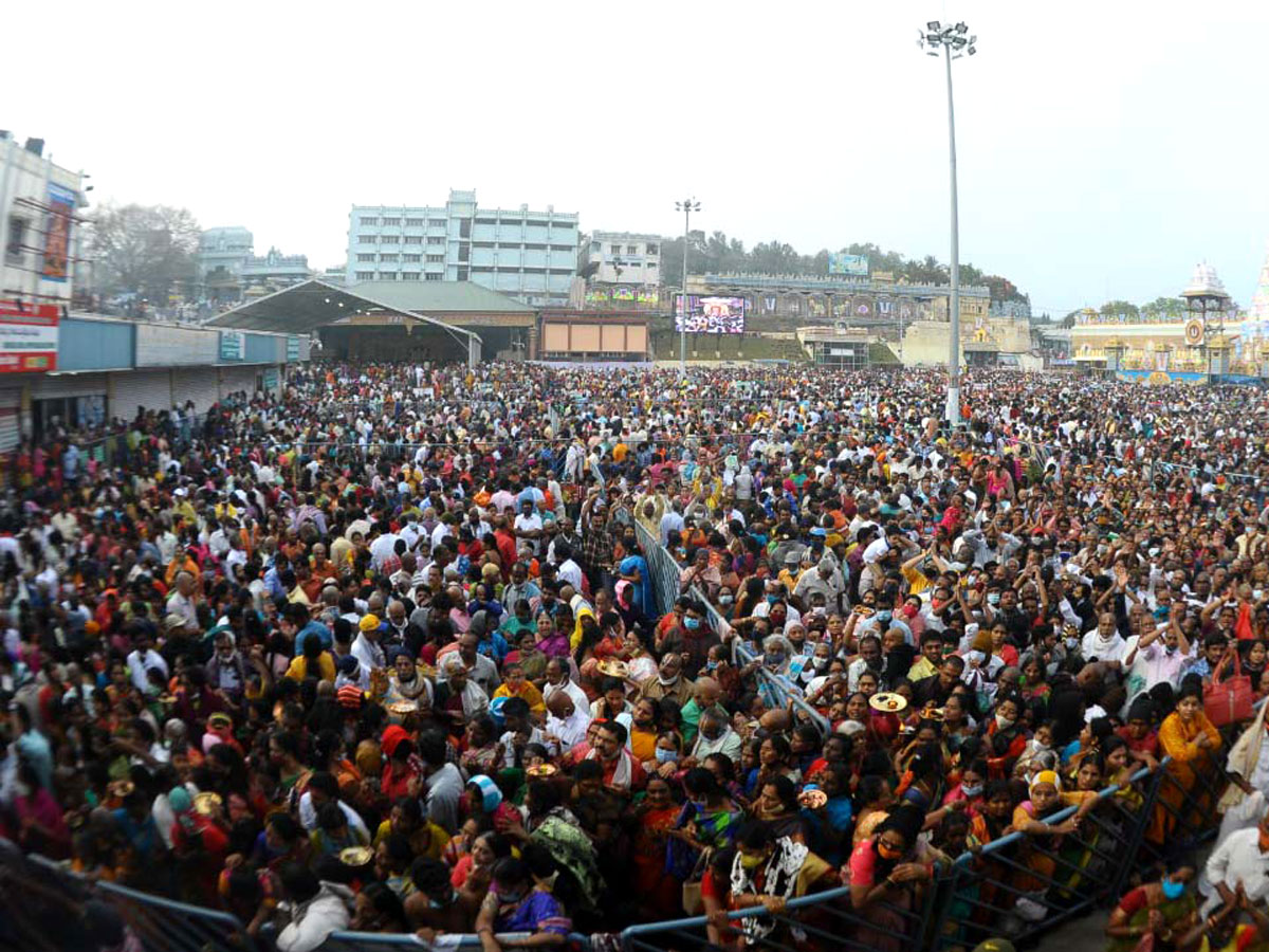 Ratha Saptami Celebrations In Tirumala Photos - Sakshi25