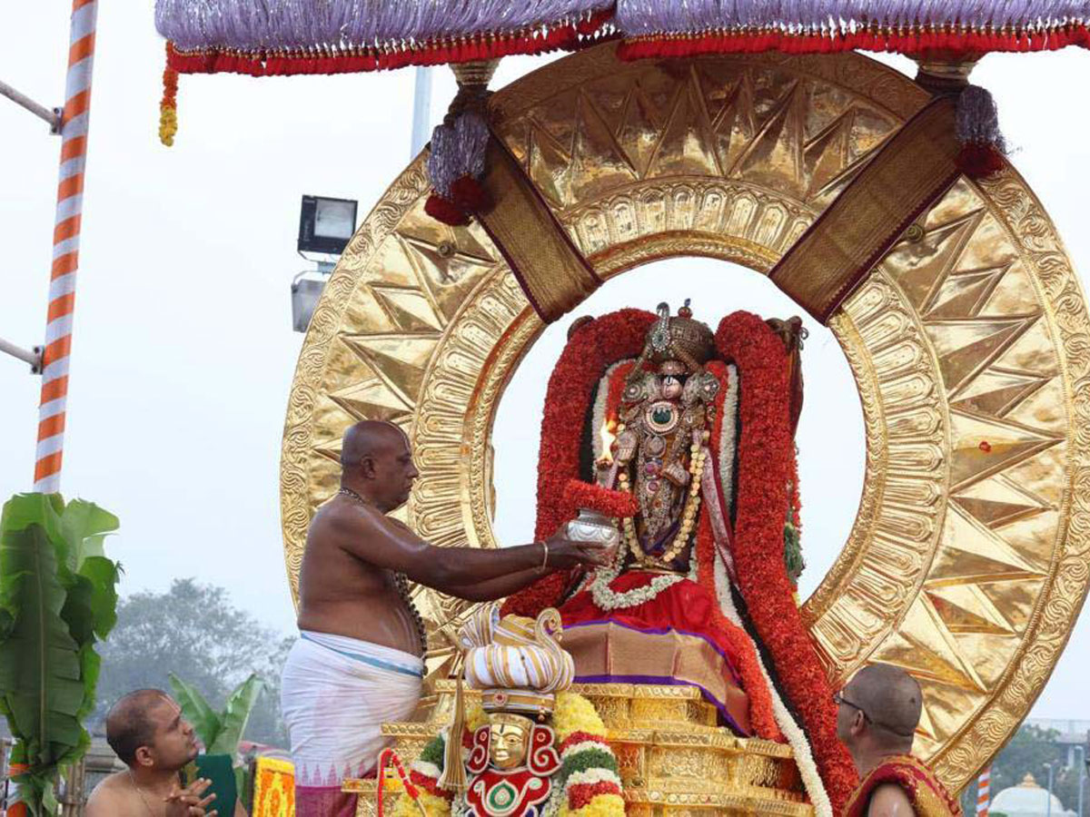 Ratha Saptami Celebrations In Tirumala Photos - Sakshi5