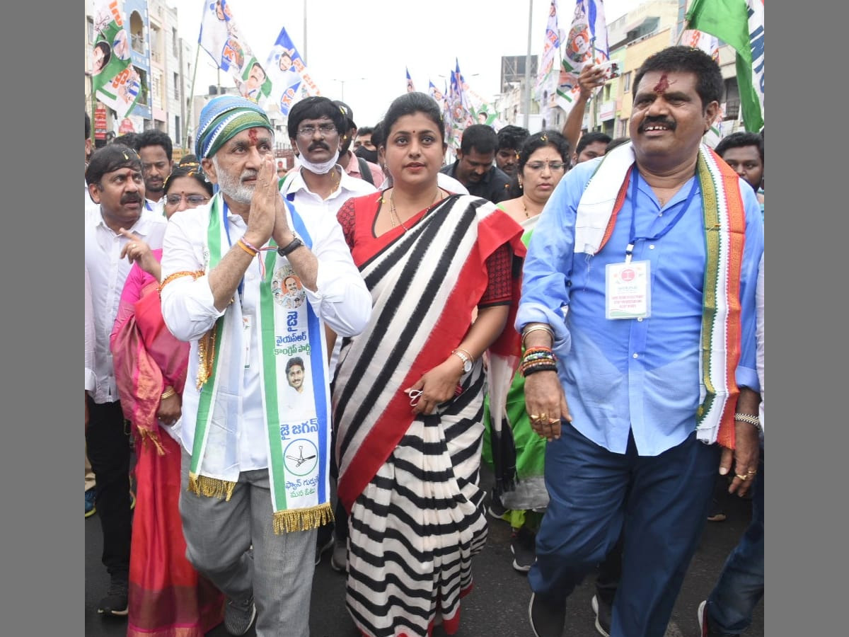 MP Vijayasai Reddy Padayatra Successful Over Steel Plant Privatization Photo Gallery - Sakshi7