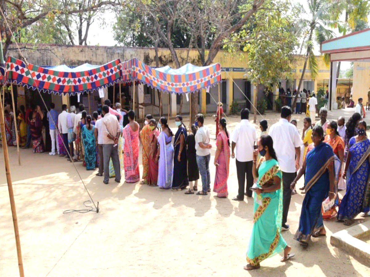 Panchayat Elections in AP local body elections Amaravati Photo Gallery - Sakshi1