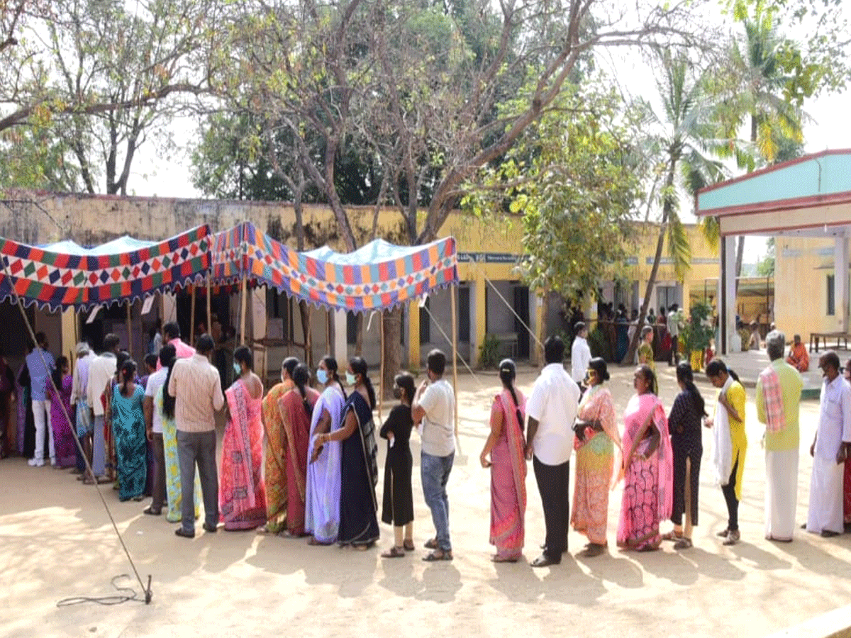 Panchayat Elections in AP local body elections Amaravati Photo Gallery - Sakshi21