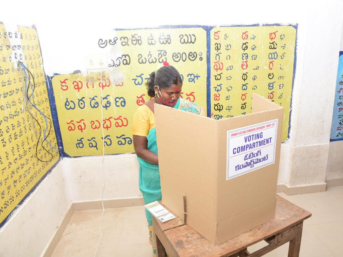 AP Municipal Elections 2021 Photo Gallery - Sakshi3