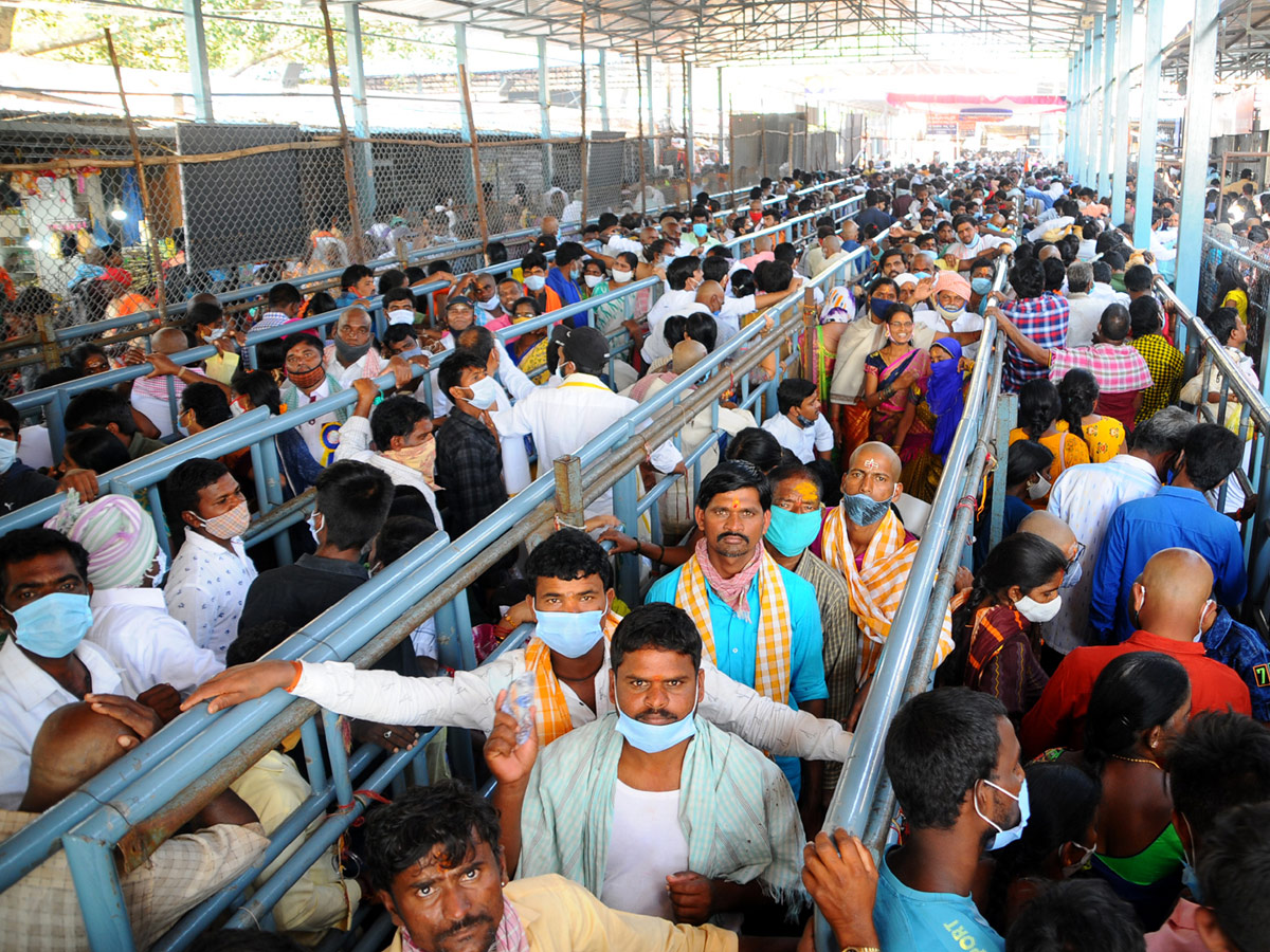 Maha Shivaratri Celebrations At Srisailam Mallikarjuna Swamy Temple Photo Gallery - Sakshi14