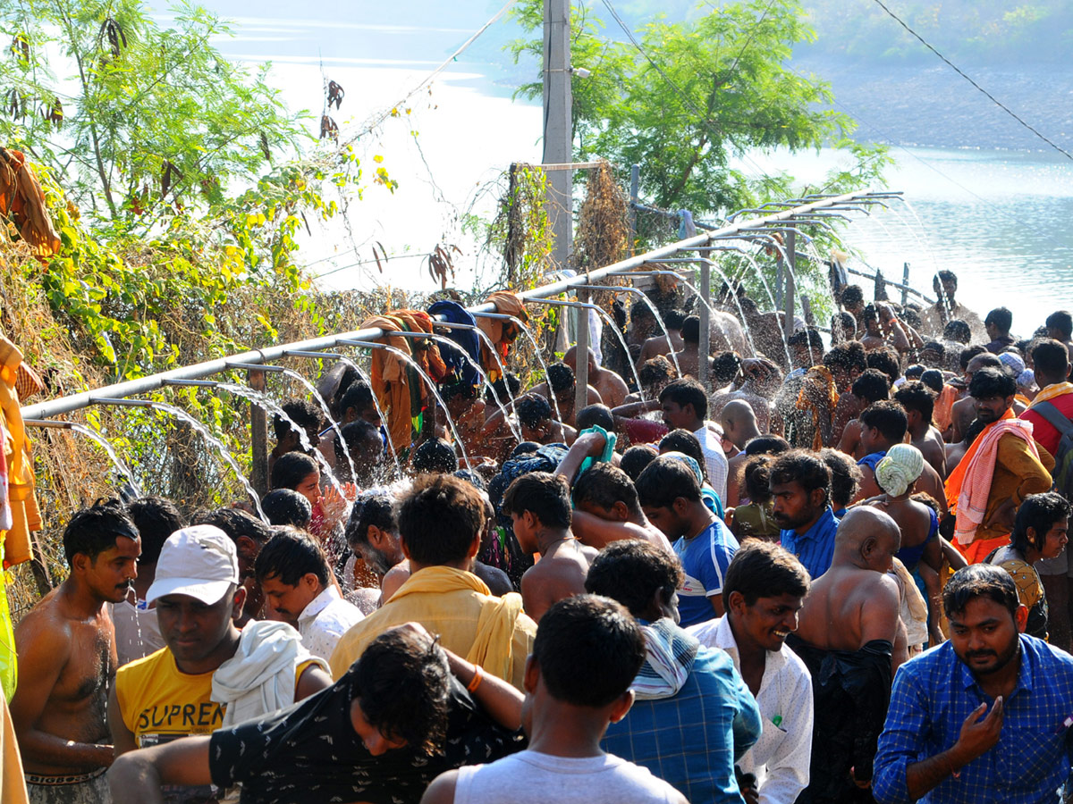 Maha Shivaratri Celebrations At Srisailam Mallikarjuna Swamy Temple Photo Gallery - Sakshi19