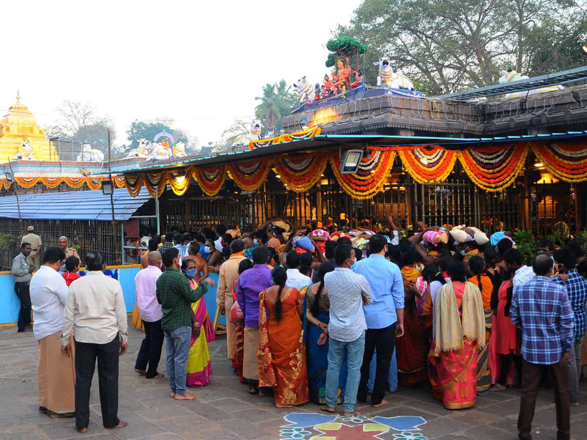 Maha Shivaratri Celebrations At Srisailam Mallikarjuna Swamy Temple Photo Gallery - Sakshi9