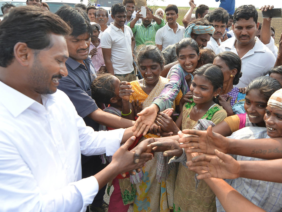 YSR Congress Party Celebrates 11th Formation Day  - Sakshi11