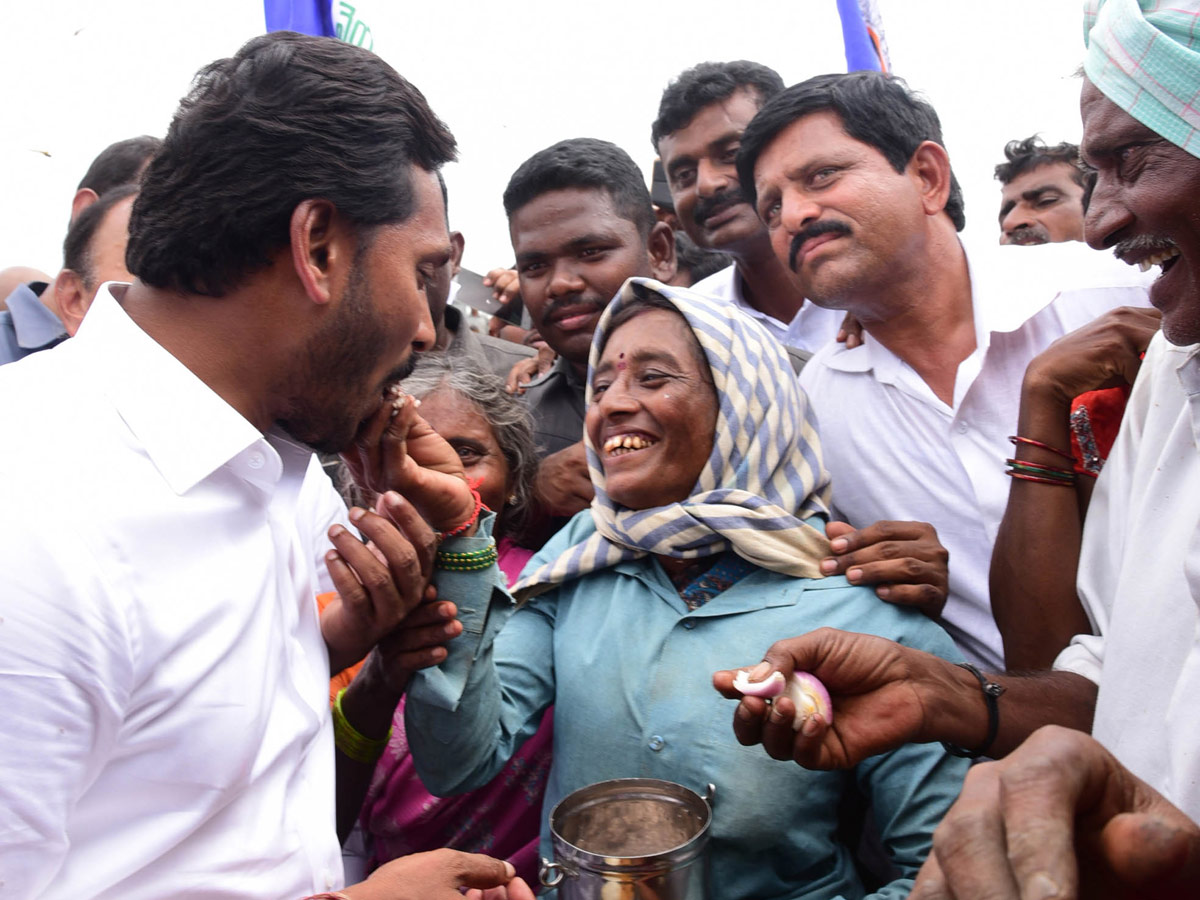 YSR Congress Party Celebrates 11th Formation Day  - Sakshi15