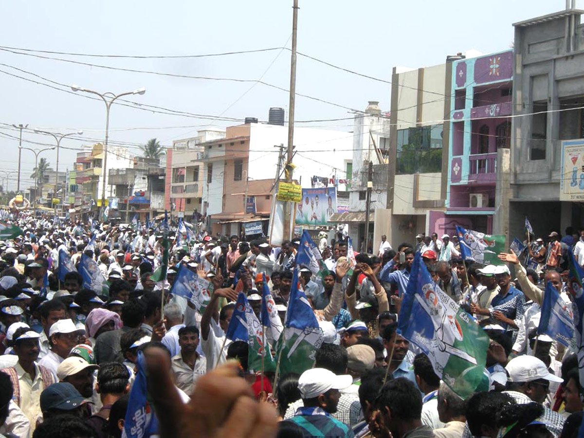 YSR Congress Sweeps Andhra Pradesh Local Body Polls Photo Gallery - Sakshi6