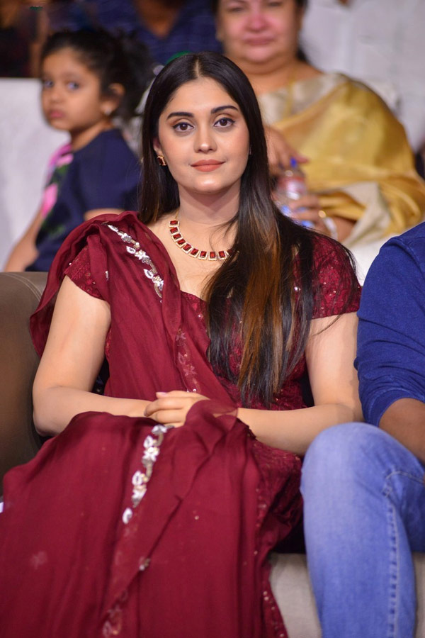 Shashi Pre Release Event Photo Gallery - Sakshi26