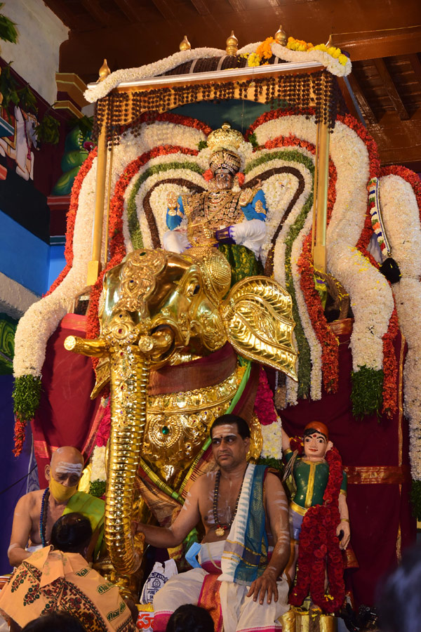 Sri Kodandaramaswamy Brahmotsavalu in Tirupati Photo Gallery - Sakshi29