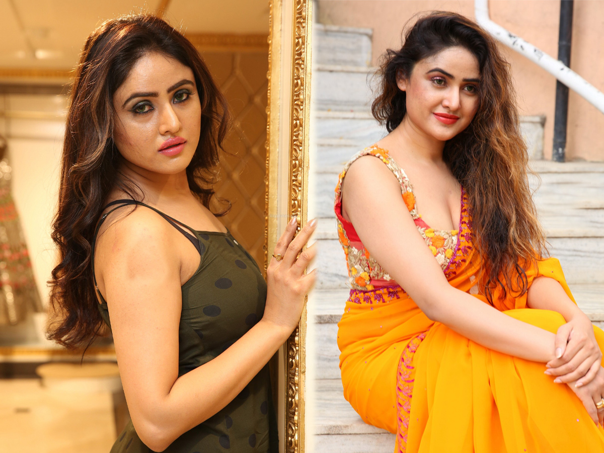 Tollywood Actress Sony Charishta Photos - Sakshi11