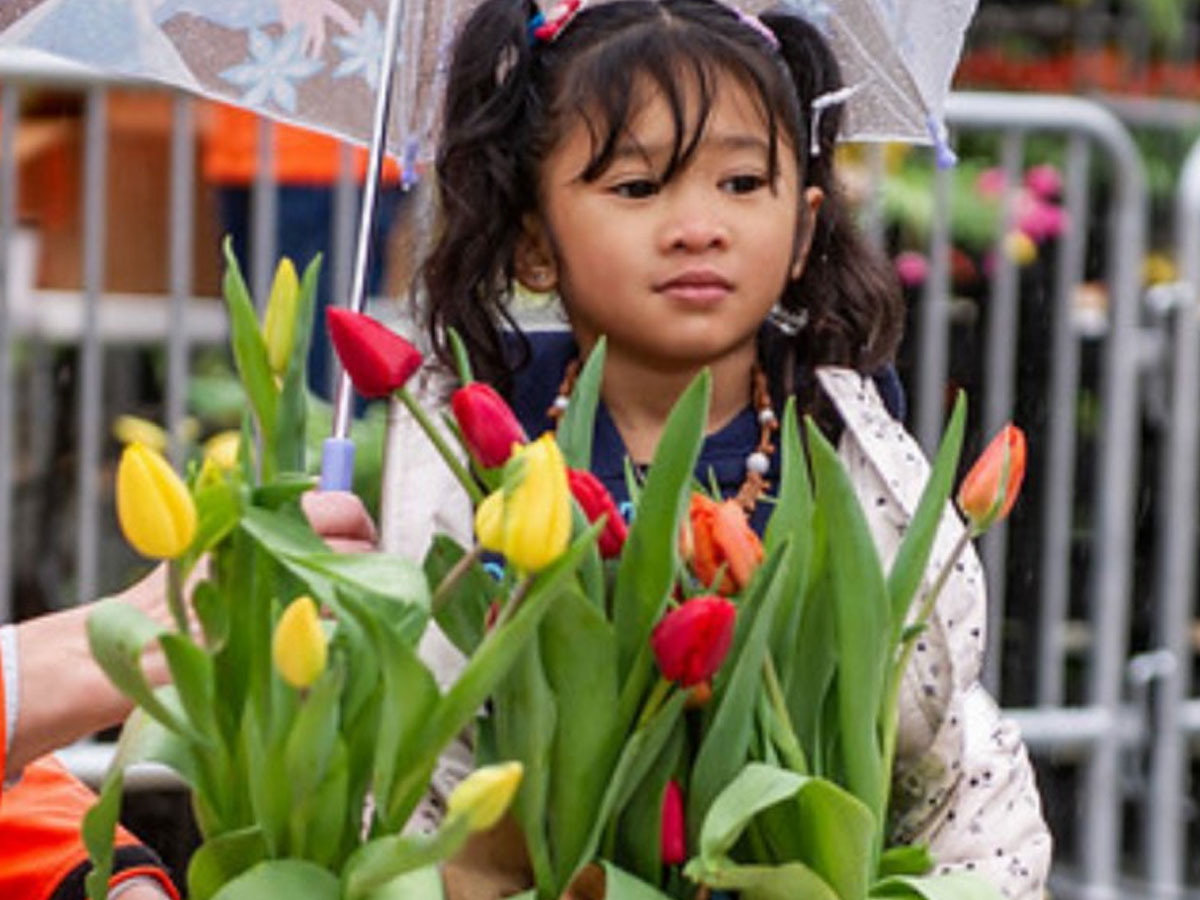 Srinagar Famous Tulip Garden Photo Gallery - Sakshi11