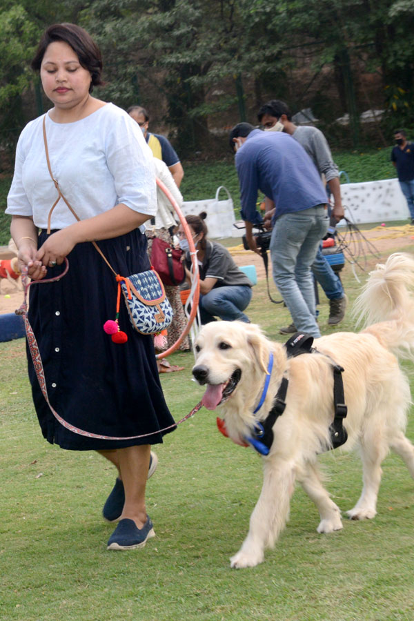 Dog Walking Jumping And Swimming In Hyderabad Photo Gallery - Sakshi14