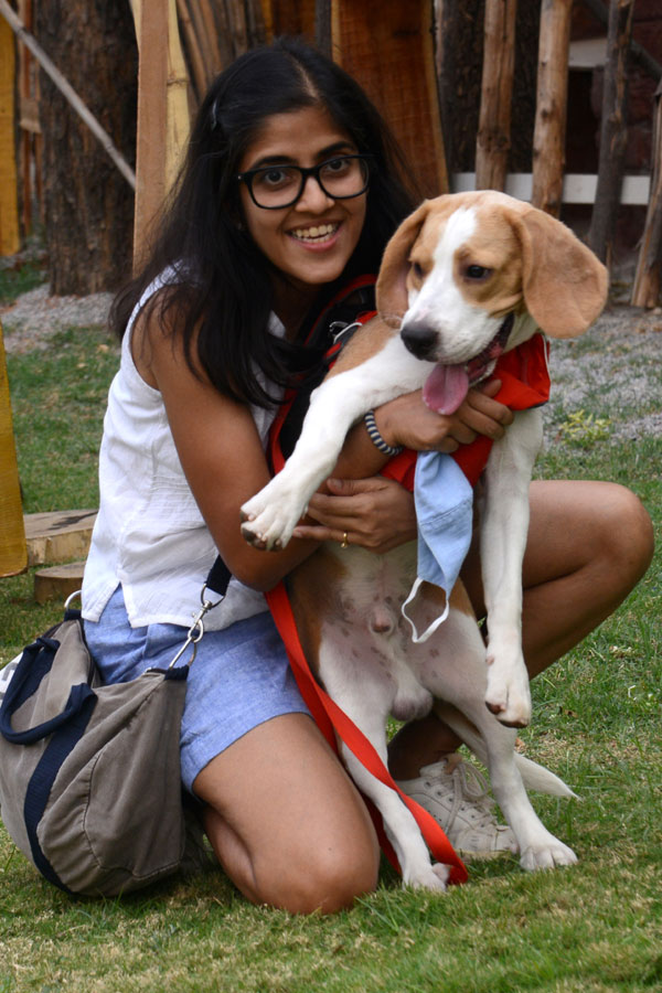 Dog Walking Jumping And Swimming In Hyderabad Photo Gallery - Sakshi21