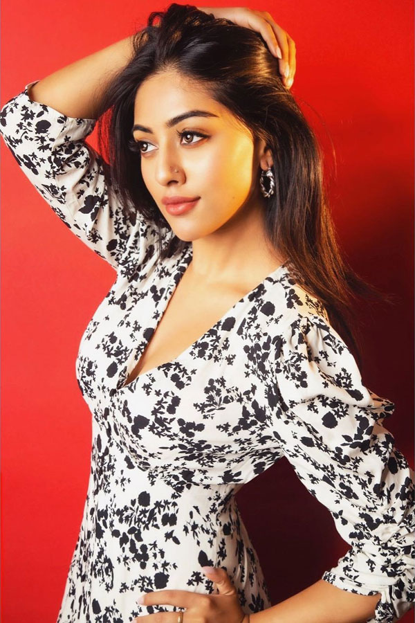 Anu Emmanuel Latest Glamorous Photo Gallery - Sakshi24