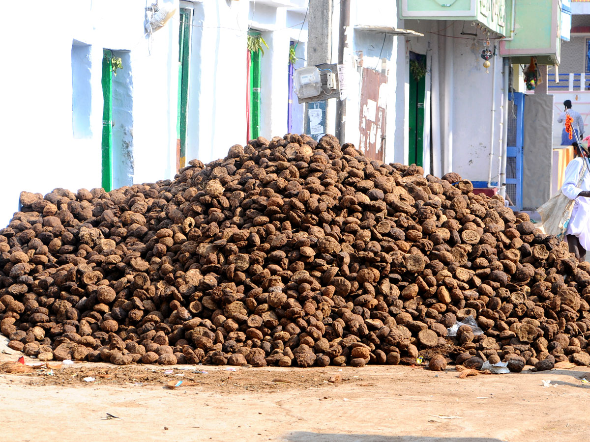 Pidakala Samaram Festival In Kairuppala Photo Gallery - Sakshi11