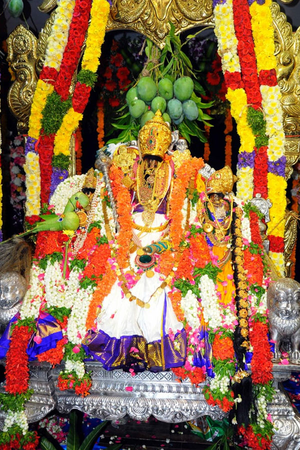 The coronation ceremony of Lord Sri Rama in Bhadrachalam Photo Gallery - Sakshi36