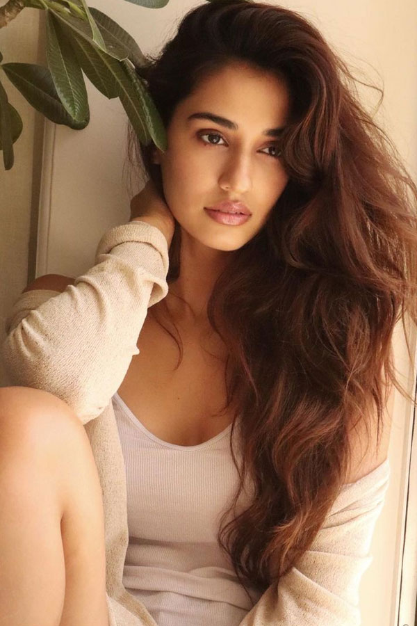 Disha Patani Glamour Photo Gallery - Sakshi5