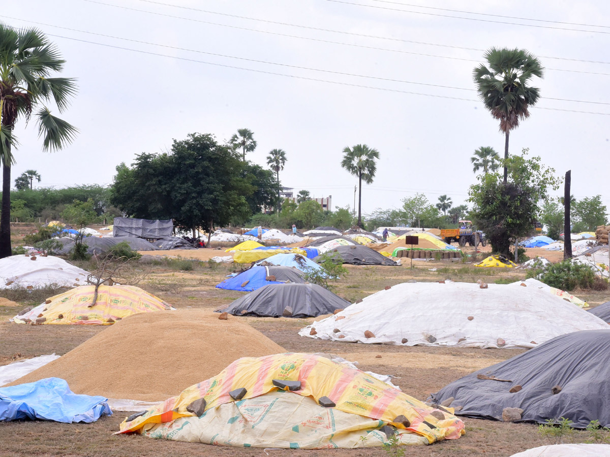 Heavy Rain in Telangana - Sakshi19