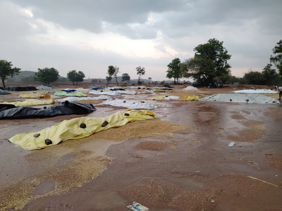 Heavy Rain in Telangana - Sakshi26