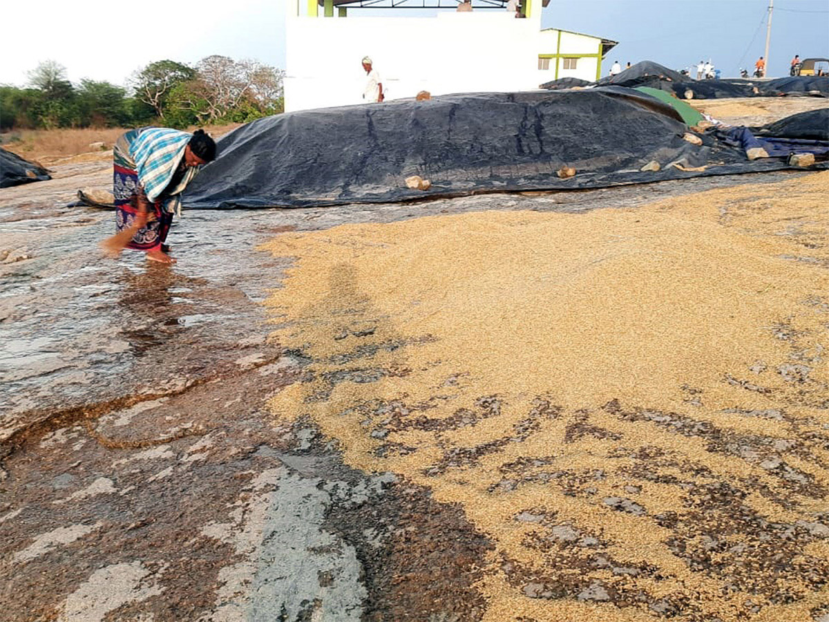 Heavy Rain in Telangana - Sakshi28