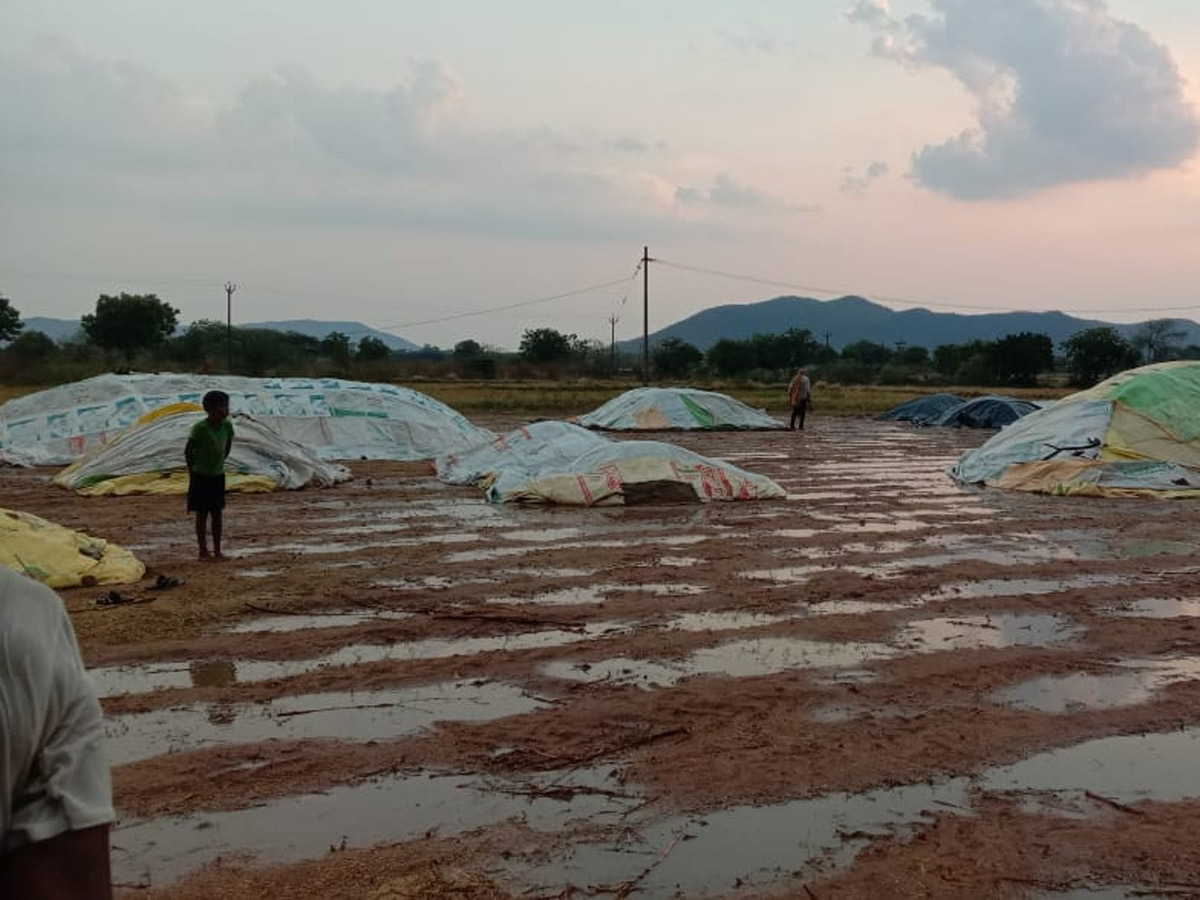 Heavy Rain in Telangana - Sakshi38