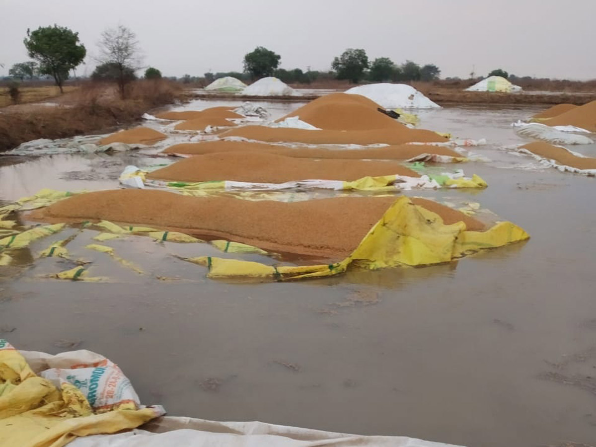 Heavy Rain in Telangana - Sakshi13