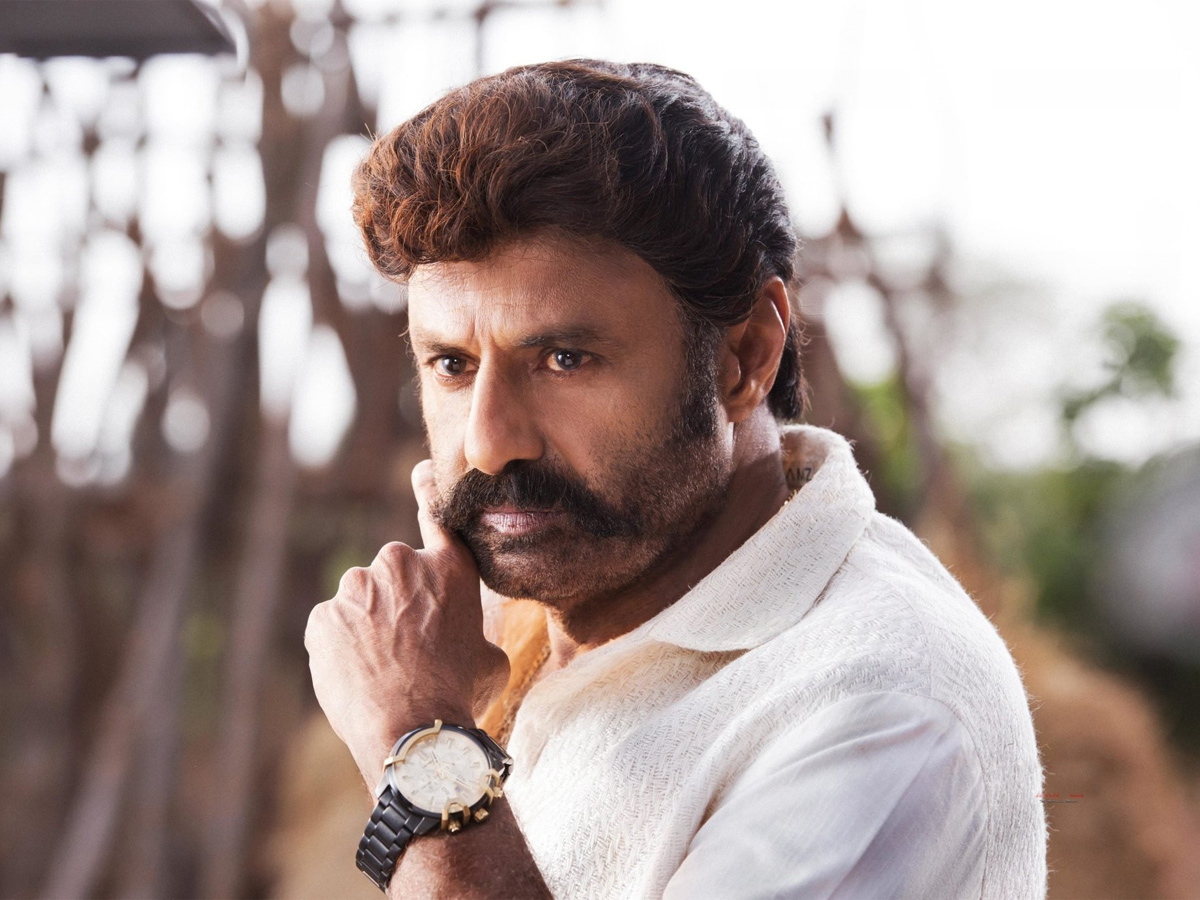 Nandamuri Balakrishna Birthday - Sakshi26