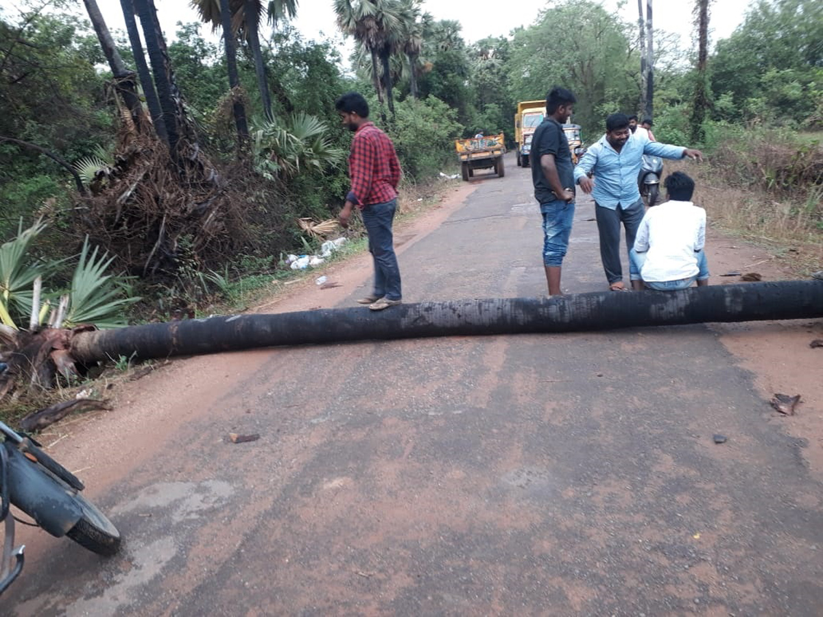 Heavy Rain in Andhra Pradesh Photo Gallery - Sakshi10