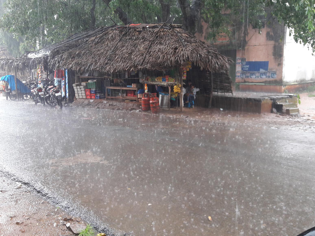 Heavy Rain in Andhra Pradesh Photo Gallery - Sakshi11