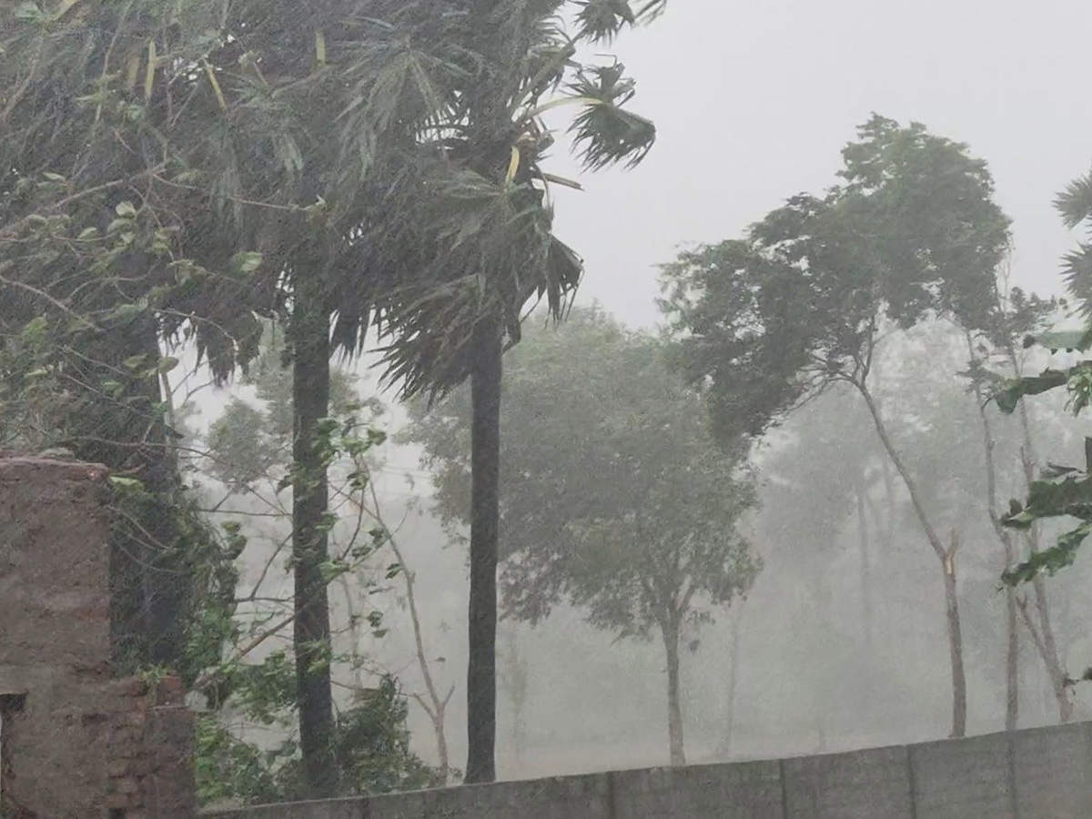 Heavy Rain in Andhra Pradesh Photo Gallery - Sakshi35