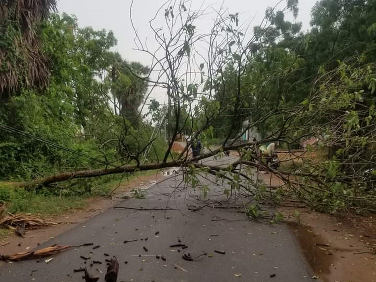 Heavy Rain in Andhra Pradesh Photo Gallery - Sakshi9