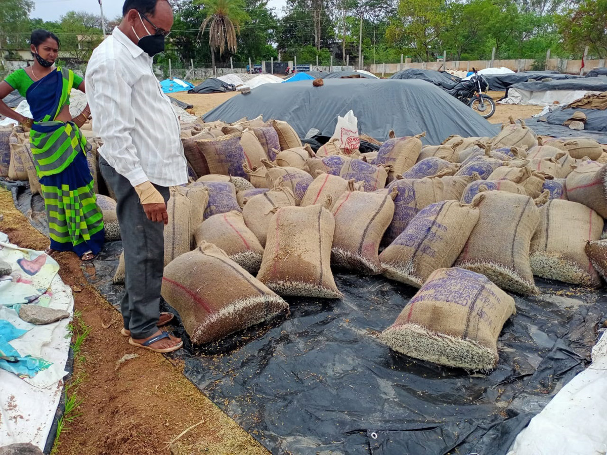 Heavy Rains Remains Huge Loss For Farmers - Sakshi13