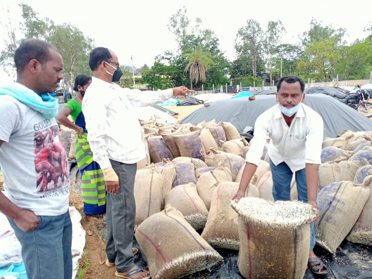 Heavy Rains Remains Huge Loss For Farmers - Sakshi15