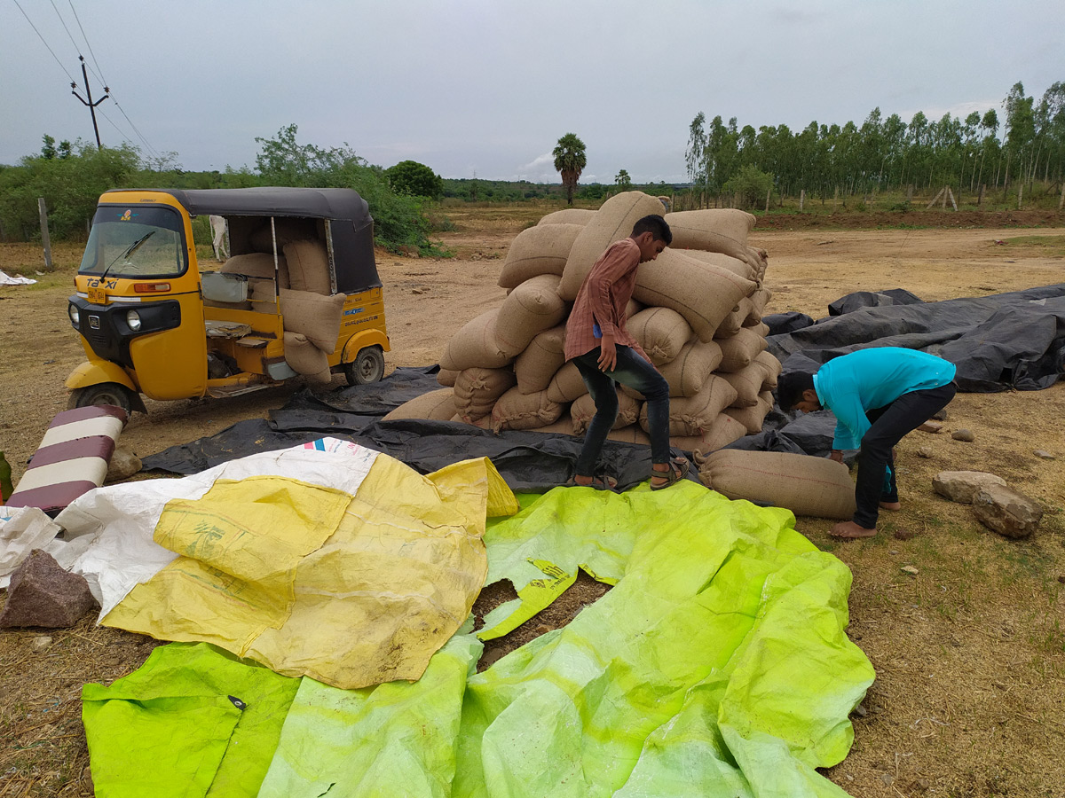 Heavy Rains Remains Huge Loss For Farmers - Sakshi20