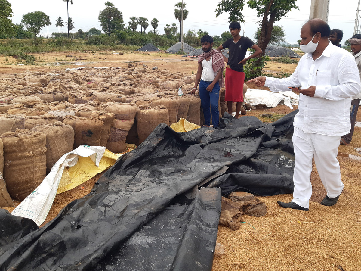 Heavy Rains Remains Huge Loss For Farmers - Sakshi26