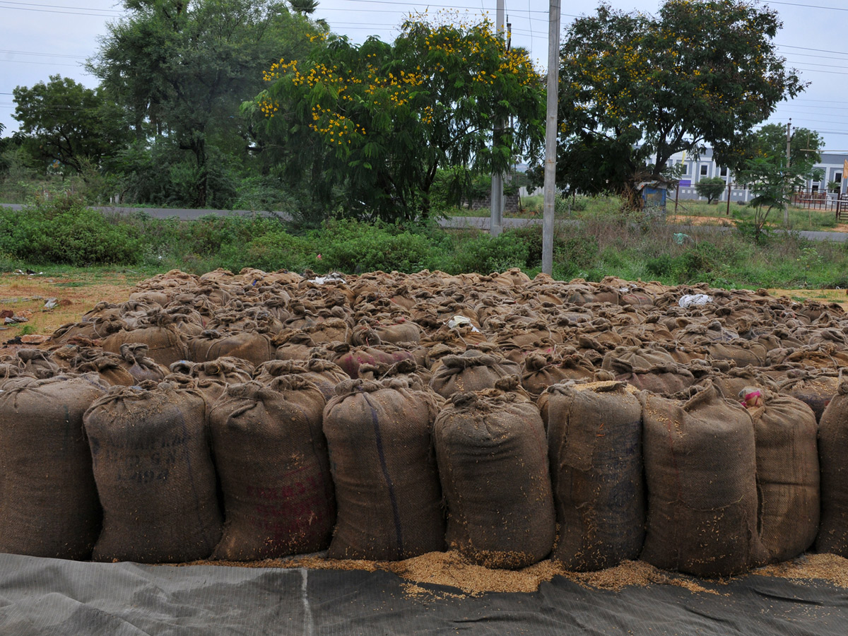 Heavy Rains Remains Huge Loss For Farmers - Sakshi27