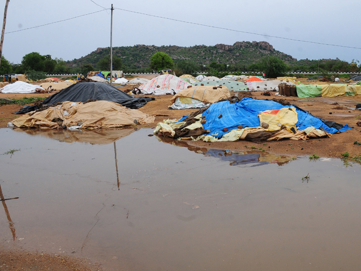 Heavy Rains Remains Huge Loss For Farmers - Sakshi30