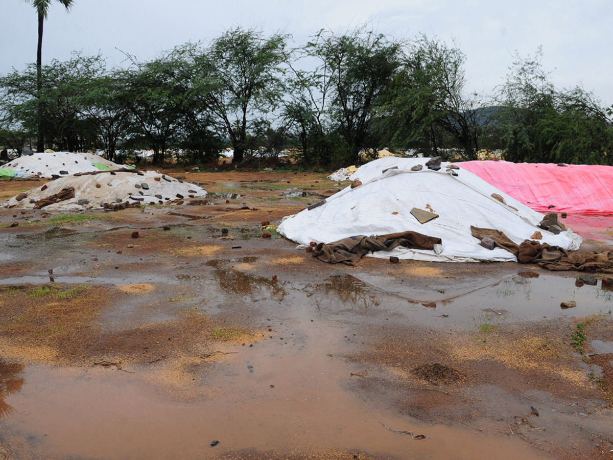 Heavy Rains Remains Huge Loss For Farmers - Sakshi32