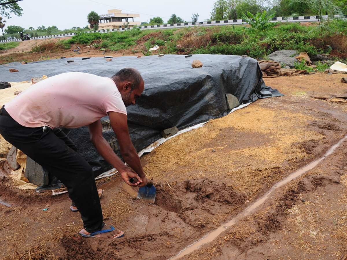 Heavy Rains Remains Huge Loss For Farmers - Sakshi33