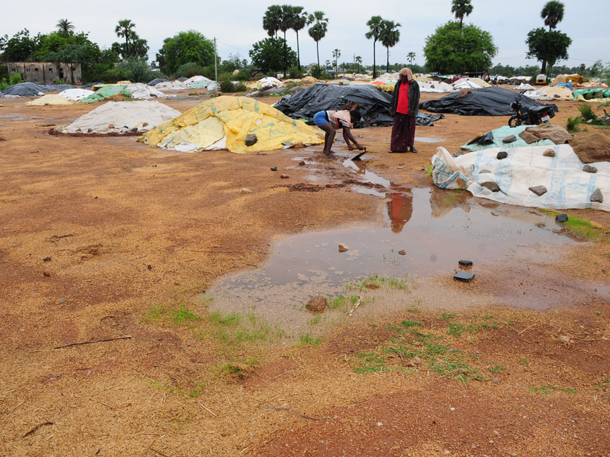 Heavy Rains Remains Huge Loss For Farmers - Sakshi36