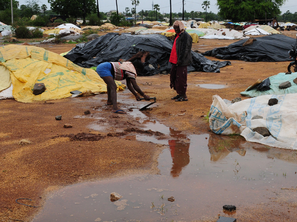 Heavy Rains Remains Huge Loss For Farmers - Sakshi37