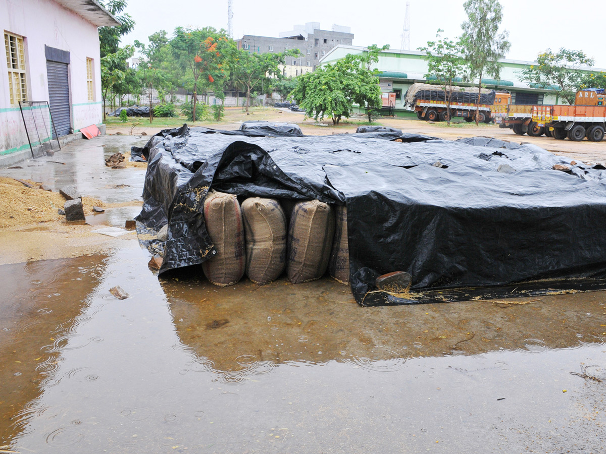 Heavy Rains Remains Huge Loss For Farmers - Sakshi4