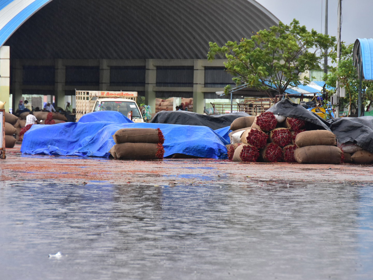 Heavy Rains Remains Huge Loss For Farmers - Sakshi41