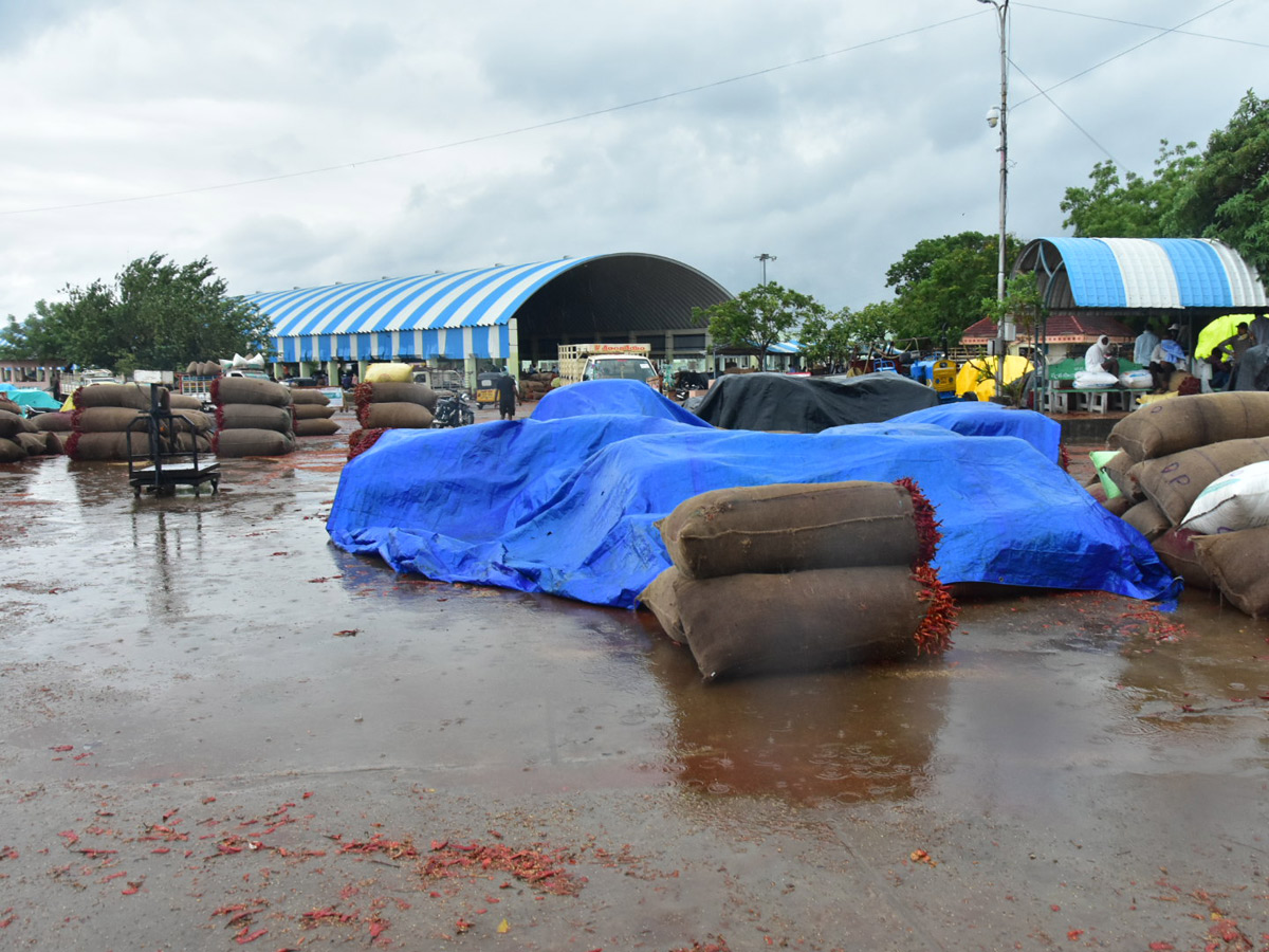 Heavy Rains Remains Huge Loss For Farmers - Sakshi43