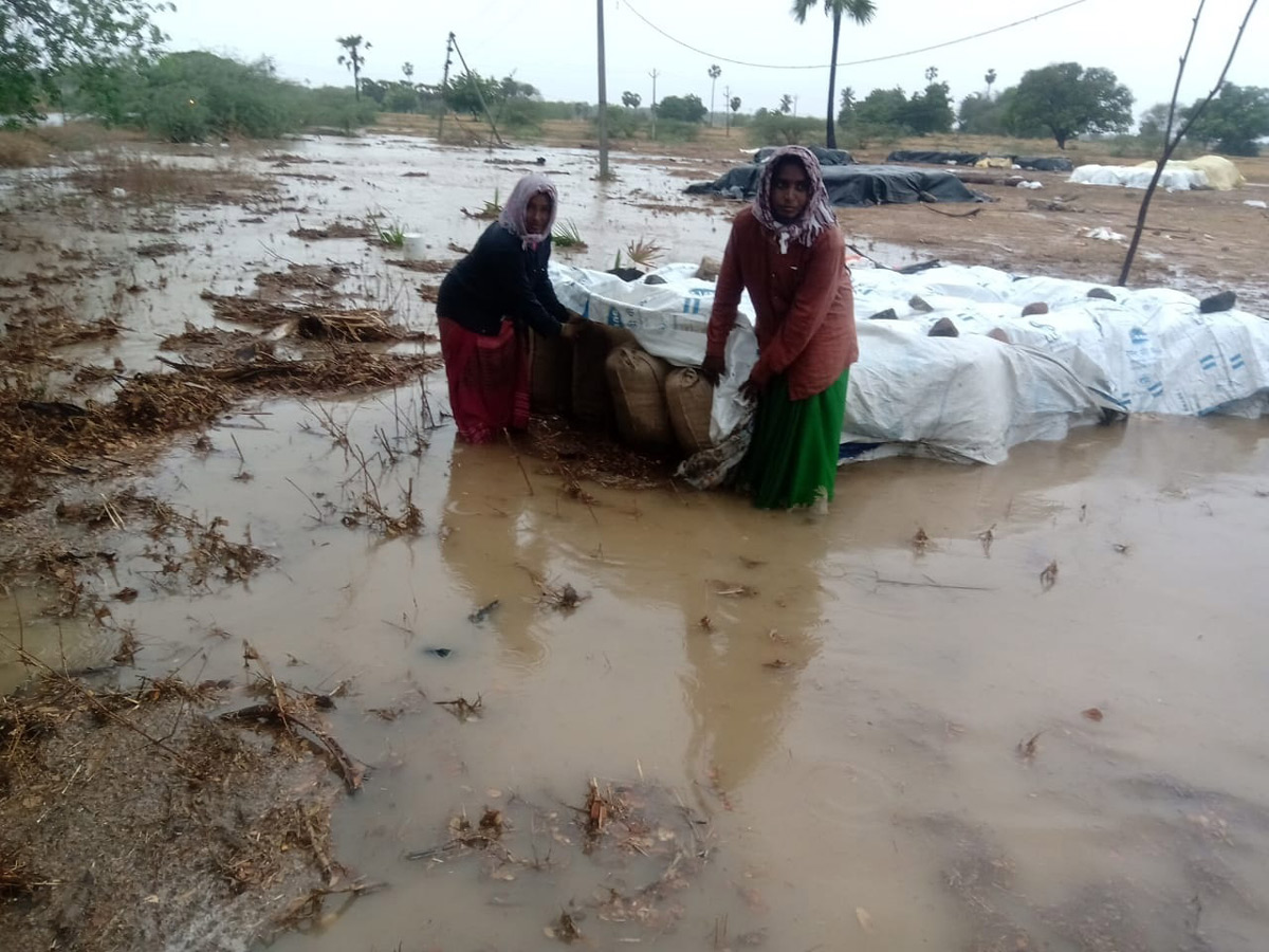 Heavy Rains Remains Huge Loss For Farmers - Sakshi44