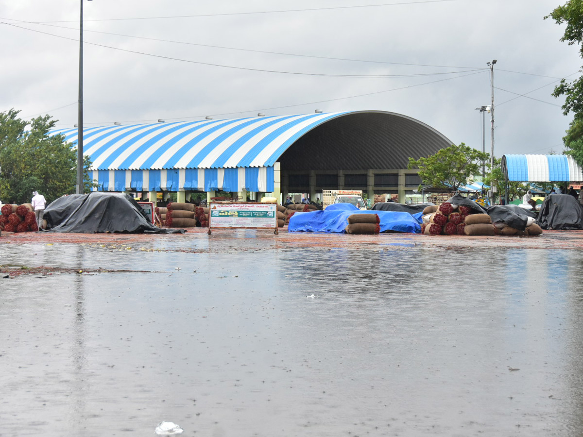 Heavy Rains Remains Huge Loss For Farmers - Sakshi46