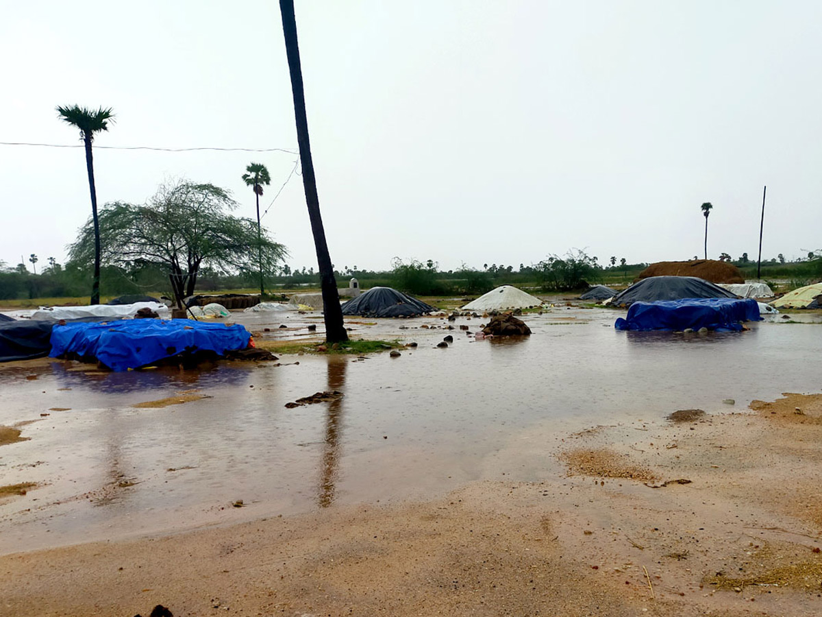 Heavy Rains Remains Huge Loss For Farmers - Sakshi5