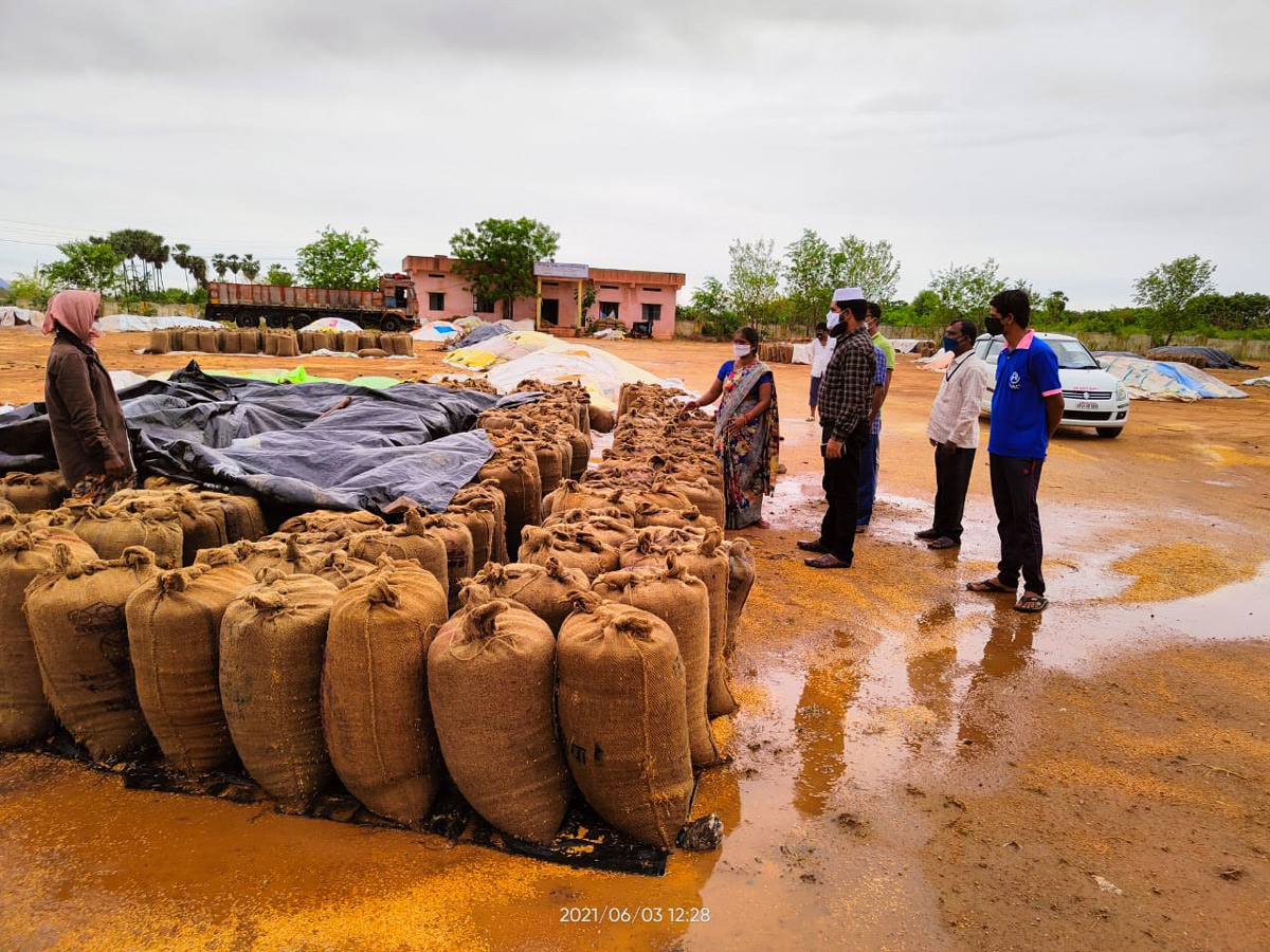 Heavy Rains Remains Huge Loss For Farmers - Sakshi6