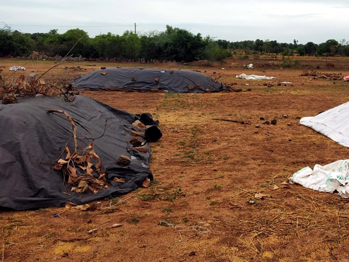 Heavy Rains Remains Huge Loss For Farmers - Sakshi7